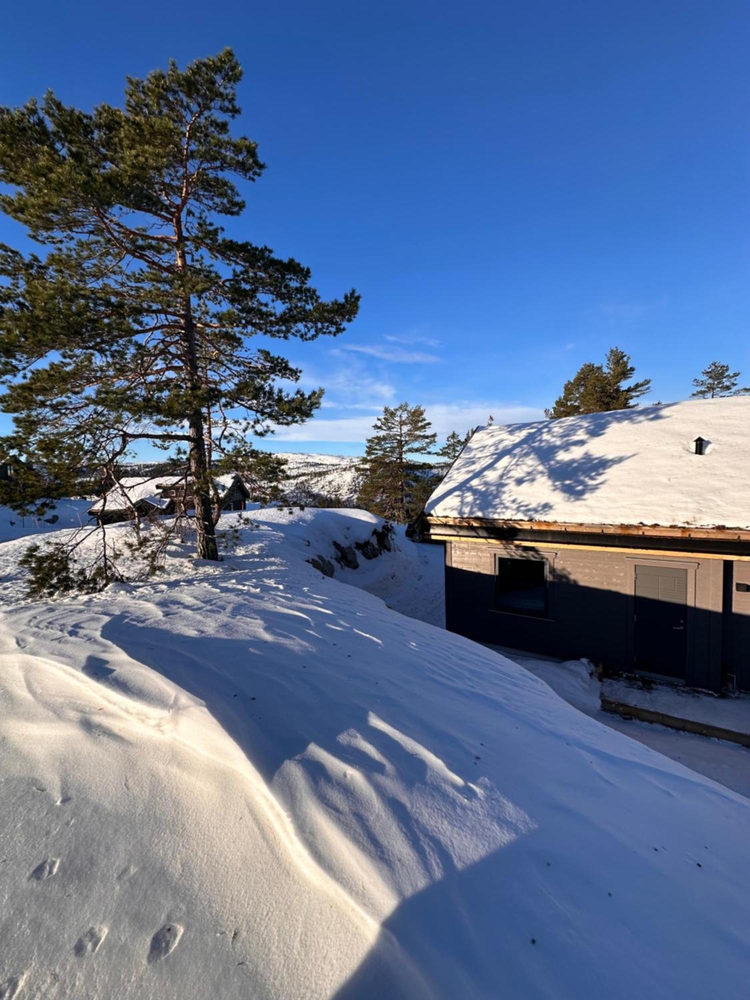 Modern Northern Lights Cabin Drangedal Exterior foto